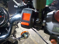 DSCN4541