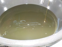 DSCN7788