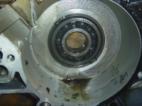 P1060486