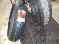 DSCN4104