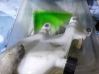 DSCN3350