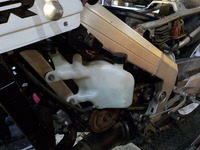 DSCN8609