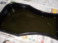 DSCN4140