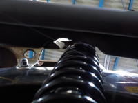 DSCN8929