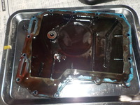 DSCN6550