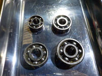 DSCN4384