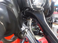 DSCN2959