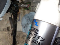 DSCN5418