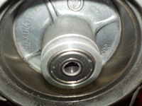 DSCN4131