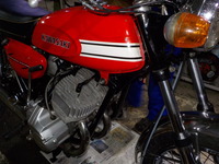 DSCN7025