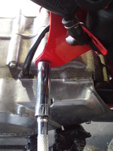 monky88cc20111002ws (4)