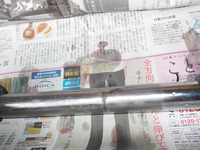 DSCN4461