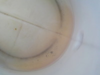 DSCN7002