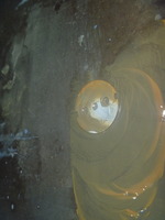 P1200046