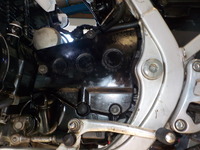 DSCN6135