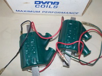 DSCN6111