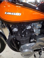 DSCN6941