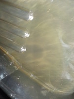DSCN6739