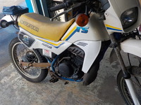 DSCN3863