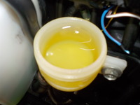 DSCN2520