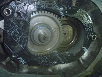 20220127  (22)
