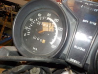DSCN8135