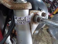 DSCN3917