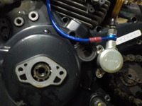 DSCN5728