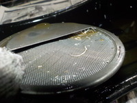 DSCN1637