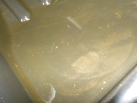 DSCN5171