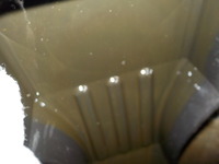 DSCN0266