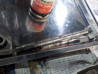 DSCN8270