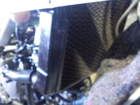 DSCN9394