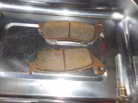 DSCN5330