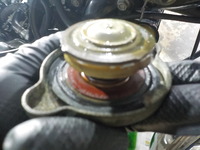DSCN1503