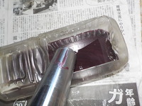 DSCN4420