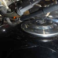 DSCF0791