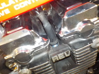 DSCN3132