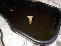 DSCN6617