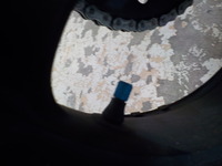 DSCN5531