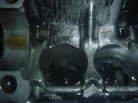 P1070046