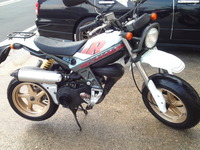 SN3U1307