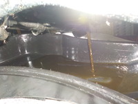 DSCN7649