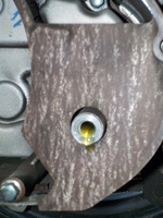 DSCN0320