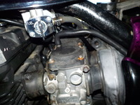 DSCN5541