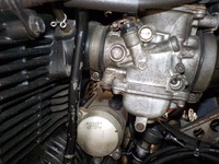 DSCN5231