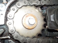 DSCN5067
