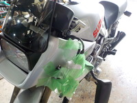 DSCN0239