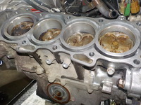 DSCN3775