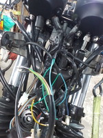 DSCN3616